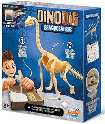 Szkielet dinozaura do odkopania i złożenia Brachiozaur Mały