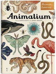 Dwie Siostry Książka W Muzeum Animalium Jenny Broom