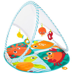 Fisher Price, mata edukacyjna