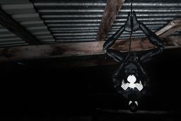 Black Spider-Man - plakat Wymiar do wyboru: 40x30