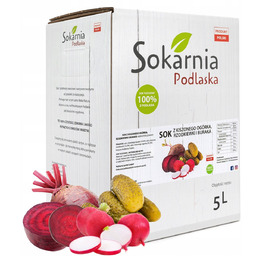 SOK WARZYWNY 5L Z Kiszonych Ogórków Rzodkiewek