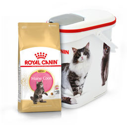 ROYAL CANIN Maine Coon Kitten 2kg karma sucha