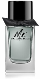 Burberry Mr. Burberry Woda toaletowa 100 ml