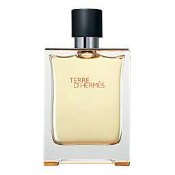 Hermes Terre D Hermes, Woda toaletowa 100ml