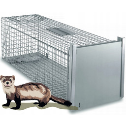 Duża Żywołapka Pułapka Na Kuny Szczury Łasice Norki