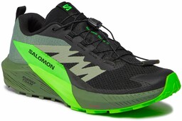 Buty do biegania Salomon Sense Ride 5 L47311100