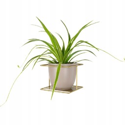 Kwietnik na ścianę Flora XL wiszący metalowy złoty