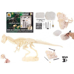 Wykopaliska archeologiczne - dinozaury