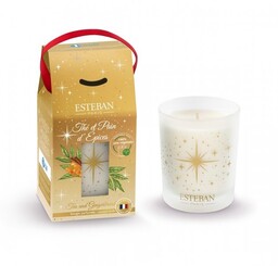 Esteban PARIS Świąteczna Świeca Zapachowa 180 g /