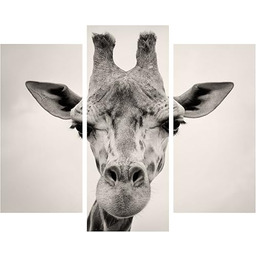 My Art Gallery Obraz ścienny zestaw 3 szt