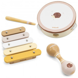 Zestaw Viga Instrumentów Muzycznych Z Jeżykiem PolarB