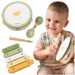 Zestaw Viga Instrumentów Muzycznych Z Ptaszkiem PolarB