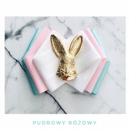 Pakamera Brosza z Królikiem z Alicji w krainie