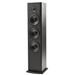 POLK AUDIO Kolumna głośnikowa T50 Czarny (1 szt.)