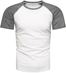 Koszulka męska t-shirt biało-grafitowy Recea