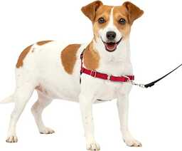 PetSafe Uprząż dla psa Easy Walk No-Pull