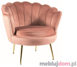 Fotel CAMELLIA VELVET Signal Antyczny róż