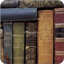 PODKŁADKI PODSTAWKI KORKOWE NA STÓŁ PIMPERNEL Archive Books