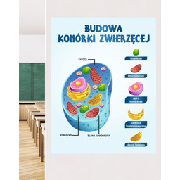 Budowa komórki zwierzęcej- naklejka na ścianę