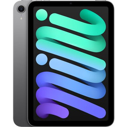 Apple iPad mini 256GB Wi-Fi Gwiezdna szarość