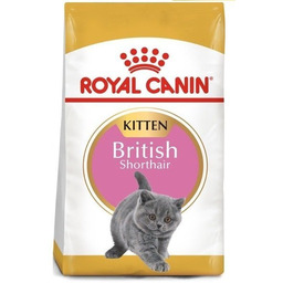Royal Canin British Shorthair Kitten 10 kg -