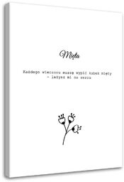 Obraz na płótnie, Mięta 70x100