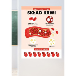 Uproszczony skład krwi- naklejka na ścianę