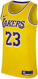 Nike Nba Los Angeles Lakers Lebron James Swingman