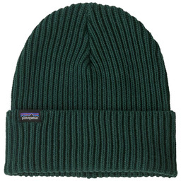Czapka unisex Patagonia Fisherman''s Rolled Beanie - cascade