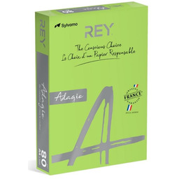 Papier kolorowy A4 80g REY ADAGIO 16 zielony