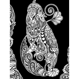 Kolorowanka welwetowa, papuga