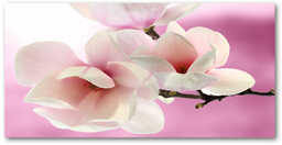 Foto obraz szkło hartowane Magnolia