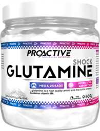 ProActive Glutamine 500g Natural