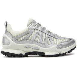 Sneakersy ECCO Biom C-Trail 80322351366 Srebrny