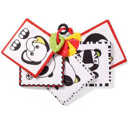 BABYONO Karty edukacyjne DREAM TEAM 781