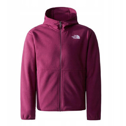 THE NORTH FACE POLAR GLACIER NF0A82TVI0H r XS