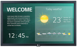 Monitor LG 22SM3G-B