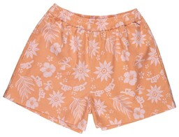 szorty SANTA CRUZ - Take A Trip Shorts