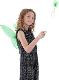 Butterfly Wings and Wand