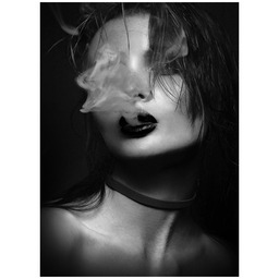 Obraz CANVAS SILVER 70 x 100 cm ST654