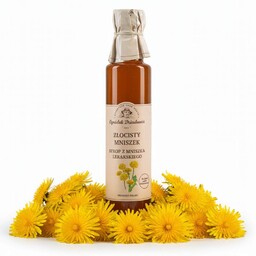 Syrop z mniszka lekarskiego 315 g naturalny kwiaty