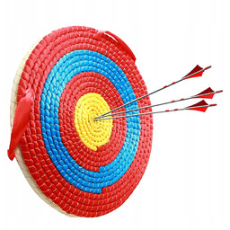 Tarcza Dart Tablica Do Słoma Gry W Darta