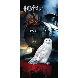 Jerry Fabrics Ręcznik plażowy 70x140 Harry Potter sowa