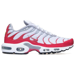 Nike AIR MAX PLUS IF6224-101
