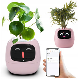 Doniczka Ivy Planter Inteligentna osłonka Smart donica porady