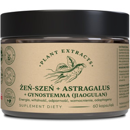 Żeń-szeń + astragalus + gynostemma (Jiaogulan) 60 kaps.x450mg