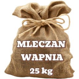 Mleczan wapnia E327 25 kg HURT