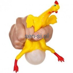 Kura znosząca jajko