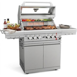 KOLER Grill ogrodowy gazowy Krone S2 Silver 21.6