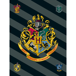 Jerry Fabrics Kocyk polarowy 100x150 Harry Potter 0226